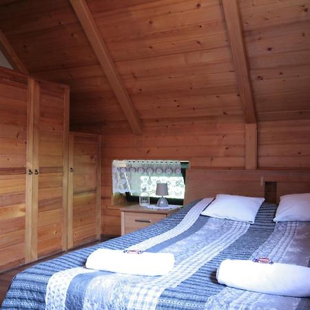 Willa Pod Jemiola Wisla Ngoại thất bức ảnh